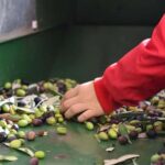 Lucinasco: a journey through flavors and traditions. Guided visit to the village. - Exploring Lucinasco’s Museums and Local Heritage