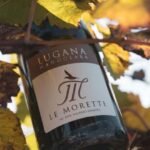 Lugana Special: tour and tasting to discover the area - From the Underground Cellars to the Aging Cellar: Exploring Historic Structures