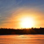 Lulea: Drive your own husky team 20km - The Cozy Finish in the Barbecue Hut