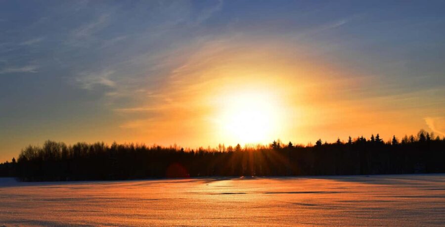 Lulea: Drive your own husky team 20km - The Cozy Finish in the Barbecue Hut