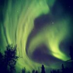 Luleå: Reindeer Sled Ride and Northern Lights Tour - Key Points