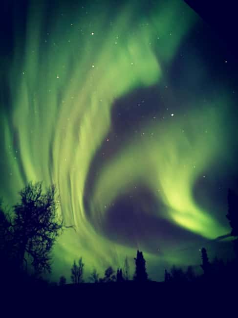 Luleå: Reindeer Sled Ride and Northern Lights Tour - Key Points