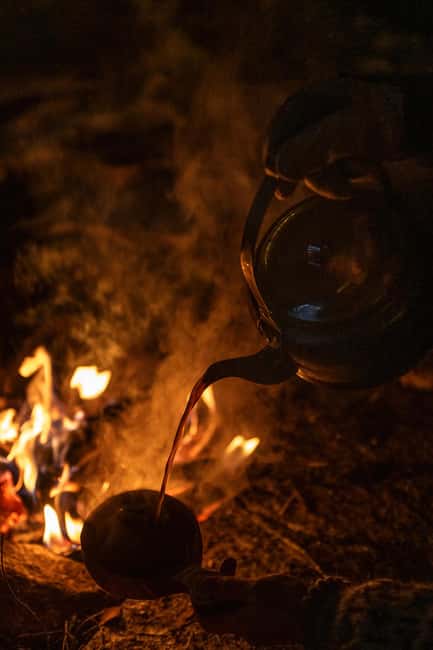 Luleå: Sami Culture & Reindeer Winter Experience - Starting Point at First Camp in Luleå