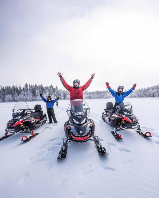 Luleå : Snowmobile - Forest and Ice Nature Tour 2h - Navigating Arctic Forests and Frozen Seas