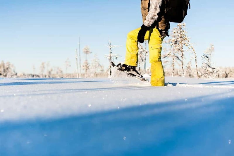 Luleå: snowshoeing in pristine nature with an expert guide! - How Snowshoeing Enhances the Winter Experience