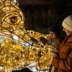 LUMAGICA Innsbruck '25/'26 - Fascinating Light Productions: Video Mapping and Interactive Art