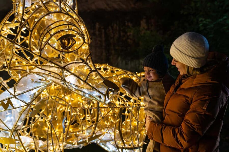 LUMAGICA Innsbruck '25/'26 - Fascinating Light Productions: Video Mapping and Interactive Art