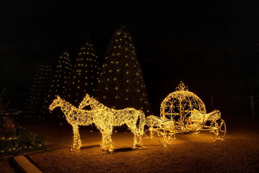 Lumières en Seine: freedom ticket - Iconic Scenic Stops: Eiffel Tower and Fairy Tale Carousels