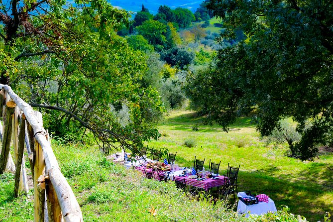 Lunch in the Olive Grove - Relaxed, Panoramic Lunch at a Long Table