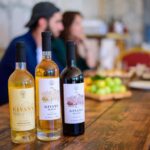 Lusarat: Givany Winery Tour & Tasting Experience - Visiting Givany Winery in the Heart of Armenia’s Vineyards