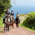 Lusitano Trail - Horseback riding for beginners - Key Points