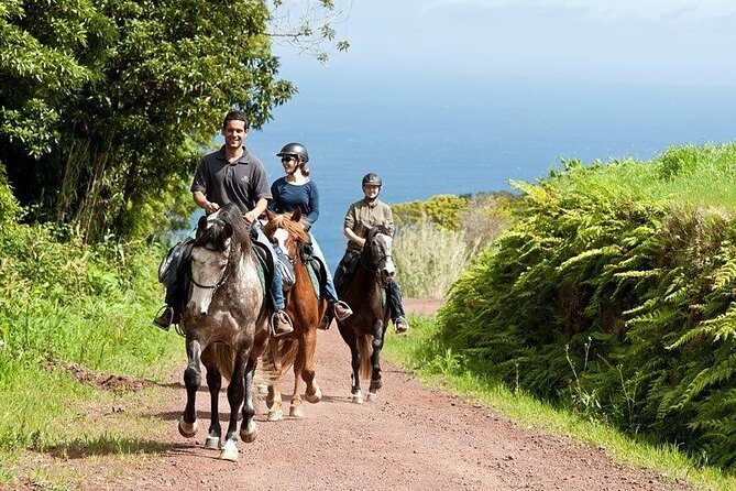 Lusitano Trail - Horseback riding for beginners - Key Points