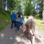 Luvigny: Donkey discovery walk - Discovering Donkeys in the Heart of Luvignys Nature