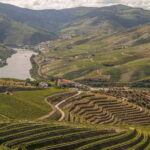 Luxurious Daytrip Lisbon to Douro Valley with Optional Stops - Luxury Transport in Style and Comfort
