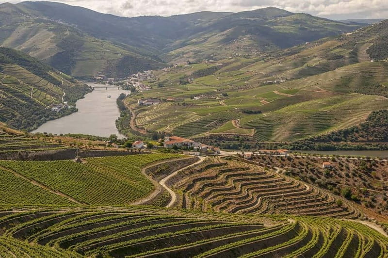 Luxurious Daytrip Lisbon to Douro Valley with Optional Stops - Luxury Transport in Style and Comfort