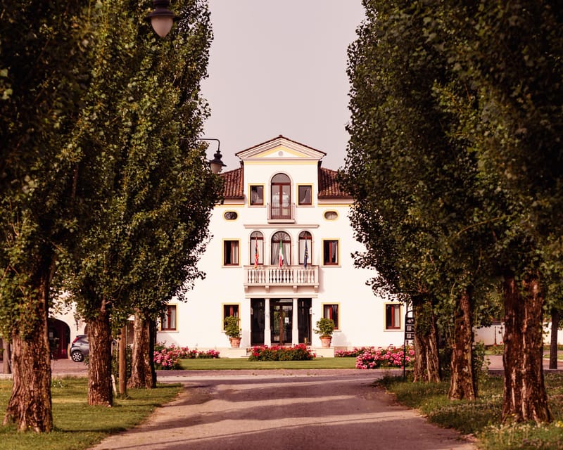 Luxurious Wine Experience: Savor Venetian Best Vineyards - The Location and Setting of the Venetian Vineyard Tour