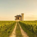 Luxury Burgundy Private Wine Tour - Starting Point and Transportation in Burgundy