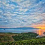 Luxury Private Transfer Dubrovnik - Split with lunch in Ston - Exploring Ston Old Town and Its Surroundings