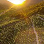 Luxury private transfer Split - Dubrovnik with lunch in Ston - Convenient Pickup and Drop-off in Dubrovnik and Split