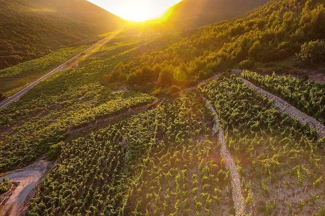 Luxury private transfer Split - Dubrovnik with lunch in Ston - Convenient Pickup and Drop-off in Dubrovnik and Split