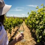 LUXURY PRIVATE Wine Tasting in CRETE (also for CRUISE SHIPS) - Exclusive Tasting with Cretan Cheese and Delicacies