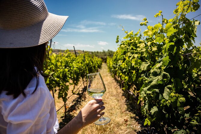 LUXURY PRIVATE Wine Tasting in CRETE (also for CRUISE SHIPS) - Exclusive Tasting with Cretan Cheese and Delicacies