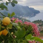 Luxury Tour from Positano to Pompei Ravello Amalfi - Visiting Pompeii: Exploring an Ancient Roman City