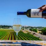 Luxury Wine tasting in Valle d'Itria - Practical Tips for Visitors