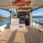 Lyngen: Whale Watching VIP Boat Tour with Lunch - Departure from Nord-Lenangen’s Scenic Harbor