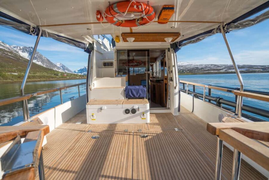 Lyngen: Whale Watching VIP Boat Tour with Lunch - Departure from Nord-Lenangen’s Scenic Harbor