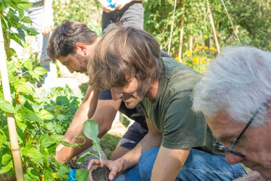 Lyon: Countryside Food Tour and Cooking Class with a Chef - Shopping for Fresh, Seasonal Ingredients
