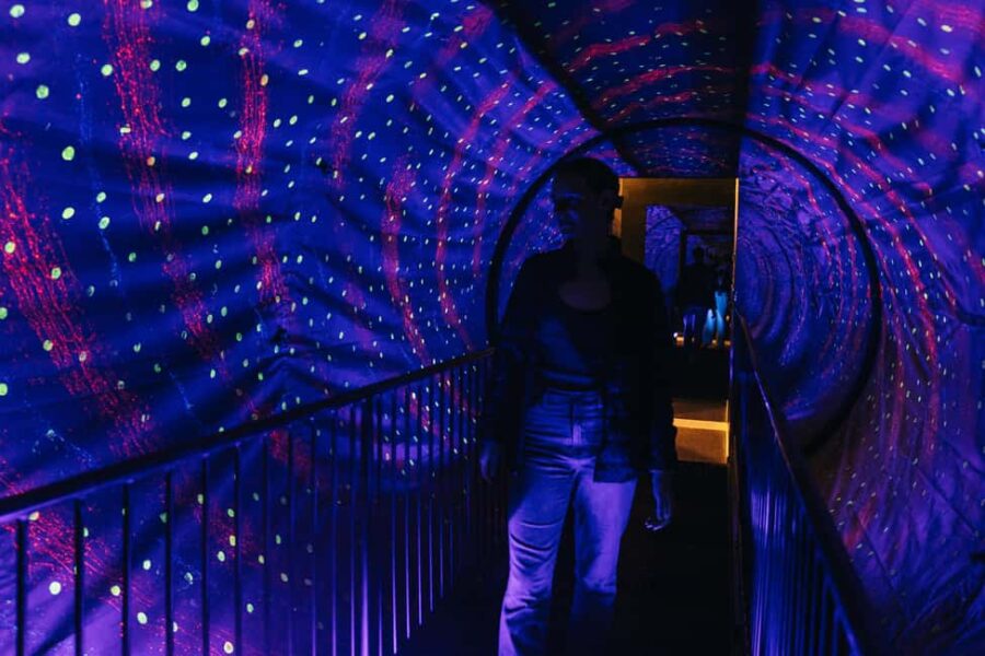 Lyon: Musée de lillusion Entrance Ticket - Discovering Lyon’s Optical Illusions and Visual Wonders