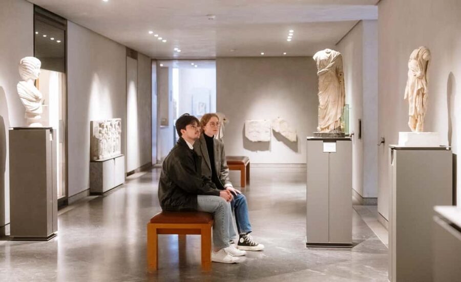 Lyon: Museum of Fine Arts Ticket & City Audio Guide - Admission to the Museum of Fine Arts in Lyon