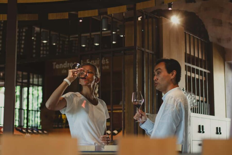 Lyon: Private Half Day Beaujolais Wine Tour by Defender - Pickup in Lyon and Tour Logistics