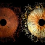 Lyon Saint-Jean: Reveal the beauty of your iris with Iris Galerie - How the Iris Capture Technology Works