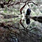 Madeira: 25 Fountains Rabaçal Forest Walk - Crossing Bridges and Navigating Water Springs