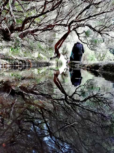 Madeira: 25 Fountains Rabaçal Forest Walk - Crossing Bridges and Navigating Water Springs