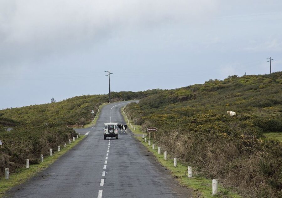 Madeira: Amazing West - Porto Moniz - The Starting Point and Pickup Options in Funchal