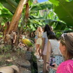 Madeira: Banana Plantation Guided Tour with Tasting - Exploring the Largest Banana Plantation on Madeira