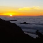 Madeira: Birdwatching - The Endemics - What Locations Are Visited During the Tour?