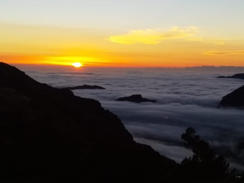 Madeira: Birdwatching - The Endemics - What Locations Are Visited During the Tour?