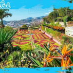 Madeira: Botanical Gardens + Old Town Tuk-Tuk Tour by MadTuk - Convenient Pickup and Drop-Off Locations in Funchal