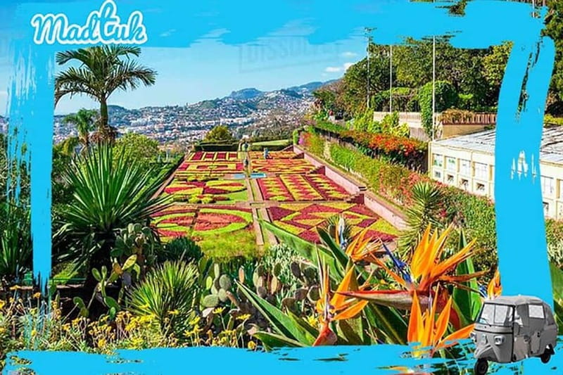 Madeira: Botanical Gardens + Old Town Tuk-Tuk Tour by MadTuk - Convenient Pickup and Drop-Off Locations in Funchal