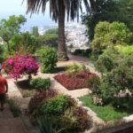 Madeira: Botanical, Monte Palace, and Palheiro Gardens - Starting at the Madeira Botanical Garden