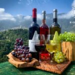 Madeira: Cabo Girão, Wine Tasting, & Serra d'Água Jeep Tour - Exploring Cabo Girao’s Spectacular Sea Cliffs