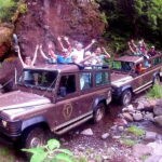 Madeira: Cabo Girão, Wines Experience and Dolphins Watching - From the Funchal Pickup to Cabo Girao’s Suspended Platform