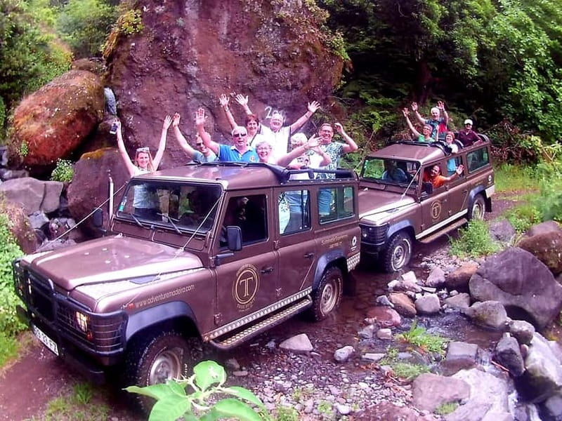 Madeira: Cabo Girão, Wines Experience and Dolphins Watching - From the Funchal Pickup to Cabo Girao’s Suspended Platform