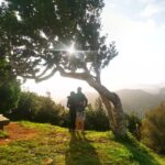 Madeira E-Buggy Adventure: 4x4 thrill & epic views! Book now - Exploring Laurissilva Forest in an Electric Buggy
