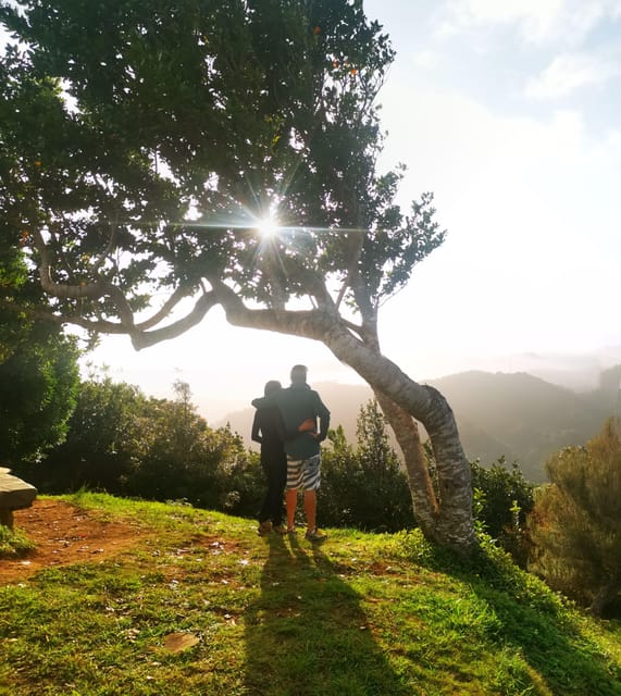 Madeira E-Buggy Adventure: 4x4 thrill & epic views! Book now - Exploring Laurissilva Forest in an Electric Buggy