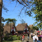 Madeira: East Coast Cabriolet Road Trip - Starting Your Adventure from Funchal or Nearby Locations